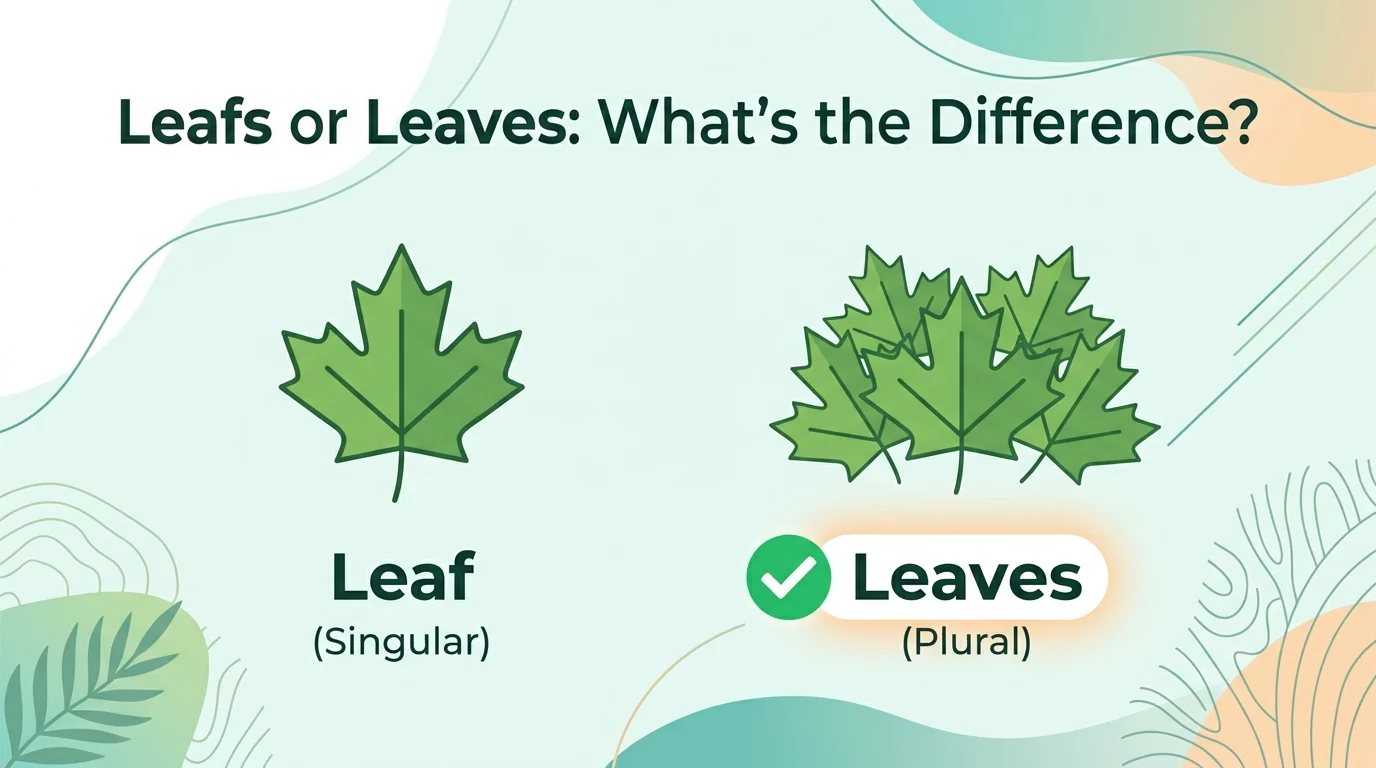 leafs or leaves